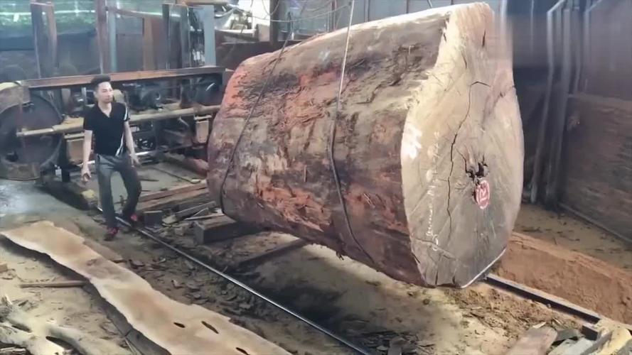 实拍日本木材加工厂大型锯切割直径18米大木头看着好过瘾