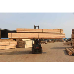 铁杉建筑木材-日照辰丰木材加工厂-铁杉建筑木材厂家电话